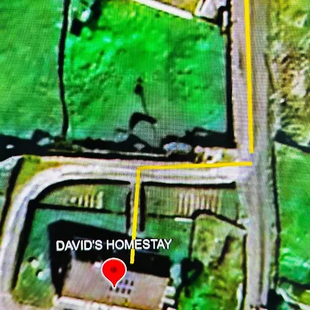 Davids