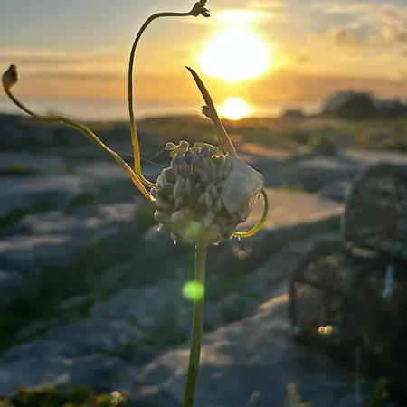 Alloggio in famiglia Davids Inisheer